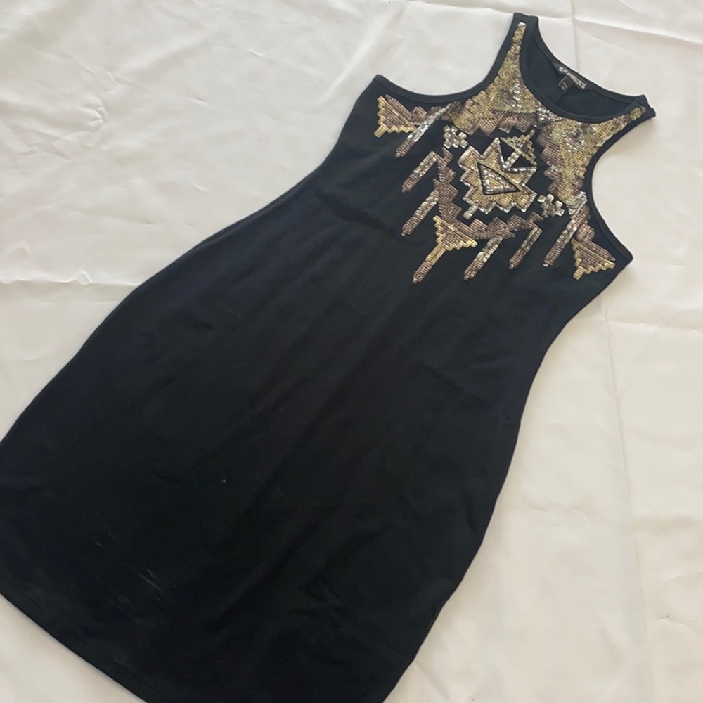 Beautiful sequins jersey Express dress